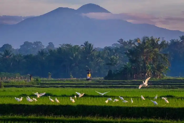 Что посмотреть на острове Бали