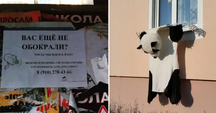 В курский водопровод явно что-то подмешивают. Иначе как всё это объяснить?