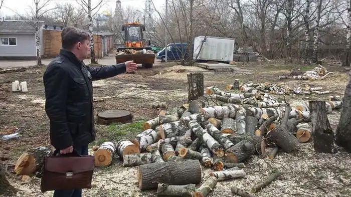 В Сергиевом Посаде срубили Рощу Победы, высаженную ветеранами