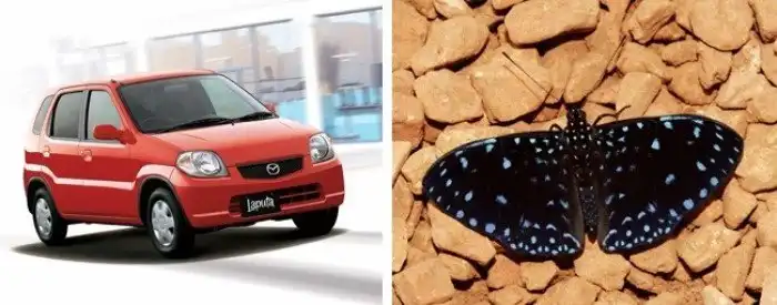 Рекламные ошибки известных брэндов