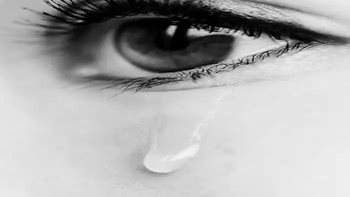 Любопытное о глазах