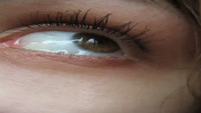 Любопытное о глазах