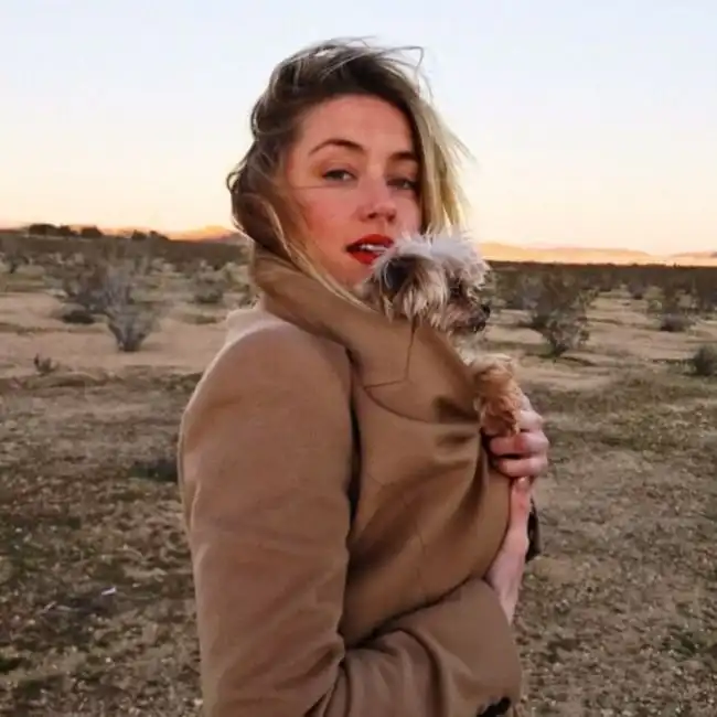 Друзья Илона Маска против его женитьбы на Эмбер Херд