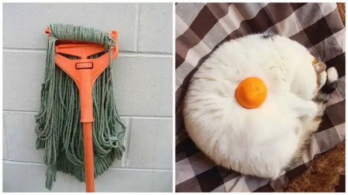 22 интересных снимка, за которые надо сказать спасибо нашему воображению