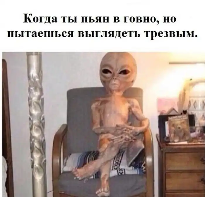 Ситуации, которые поймут люди, которые хотя бы раз в жизни напивались