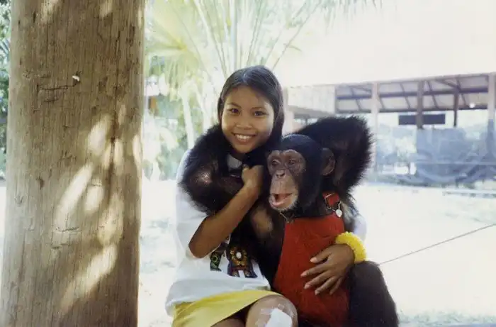 История тайской проститутки