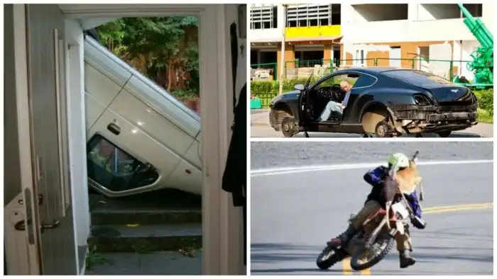 «Видно в понедельник их мама родила»