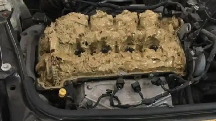 Автоледи залила жидкость стеклоомывателя в двигатель