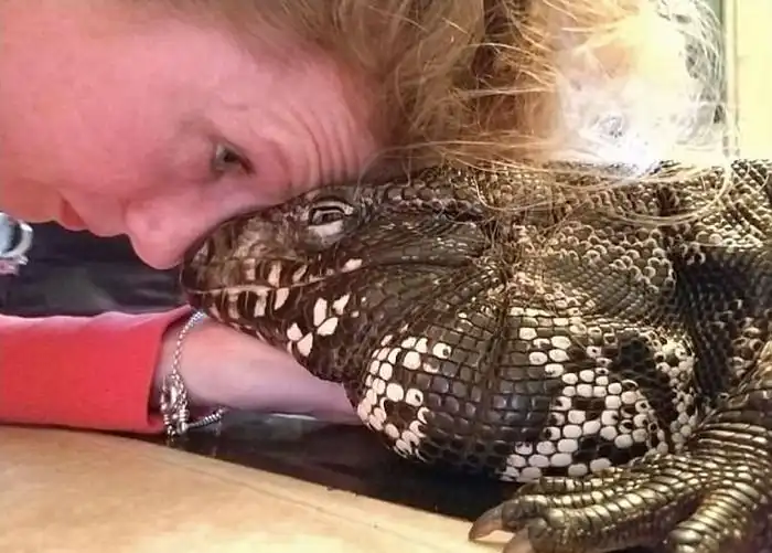 Огромная ящерица в роли домашнего питомца