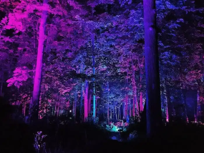 Фестиваль искусств «Вдохновение» на ВДНХ