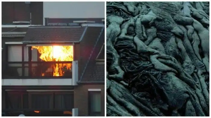 Эти картины - совсем не то, чем кажутся!