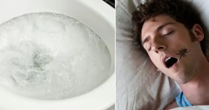 Городские легенды, которым мы все еще верим