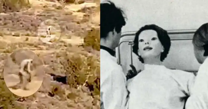 Городские легенды: 15 самых громких и жутких историй