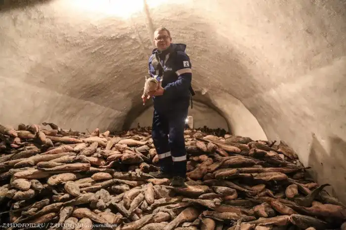 Мерзлотник. Естественный холодильник для хранения рыбы