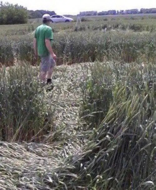 В Ростовской области обнаружили странное поле