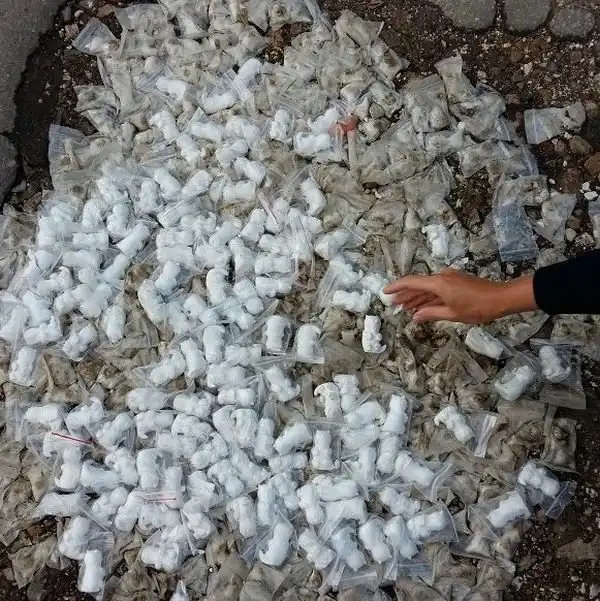 В Саратове ямы на дороге засыпали фигурками котов