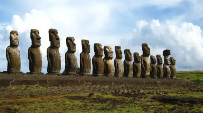 Любопытные чудеса природы