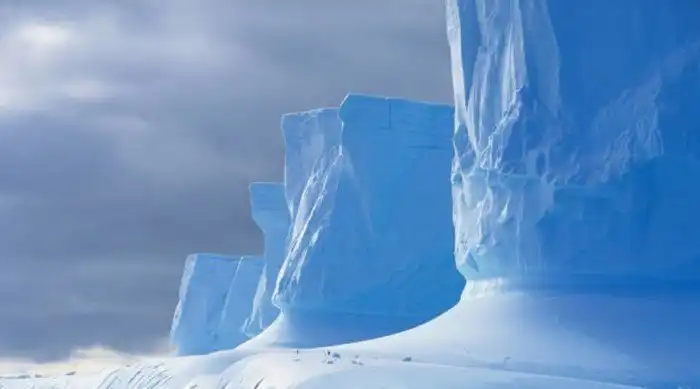 Любопытные чудеса природы