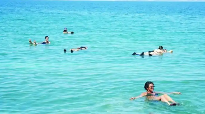 Любопытные чудеса природы