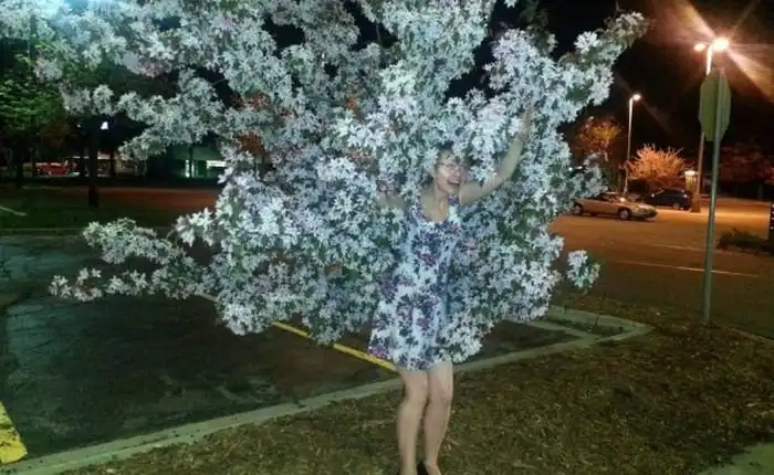 Мастера маскировки