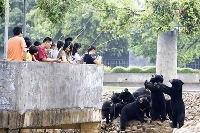 Странные фото из Китая