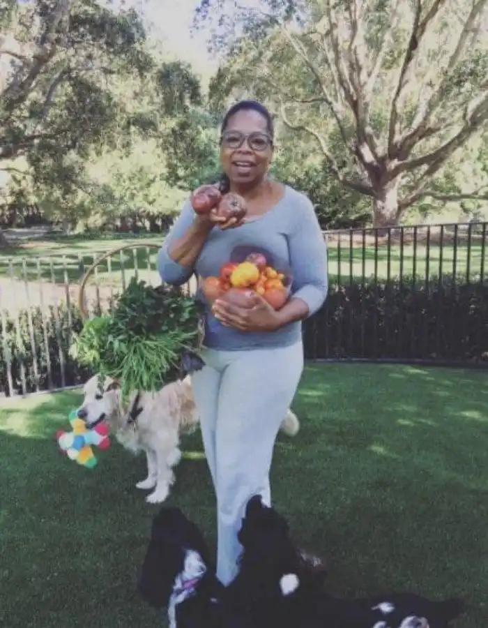 Звезды - чайлдфри