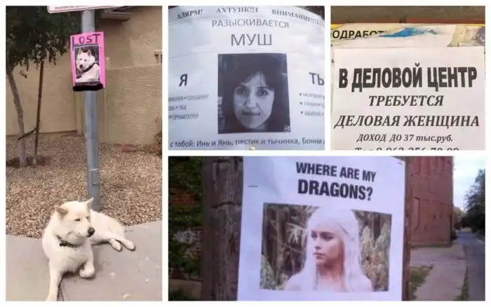 Кто ищет, тот всегда найдет