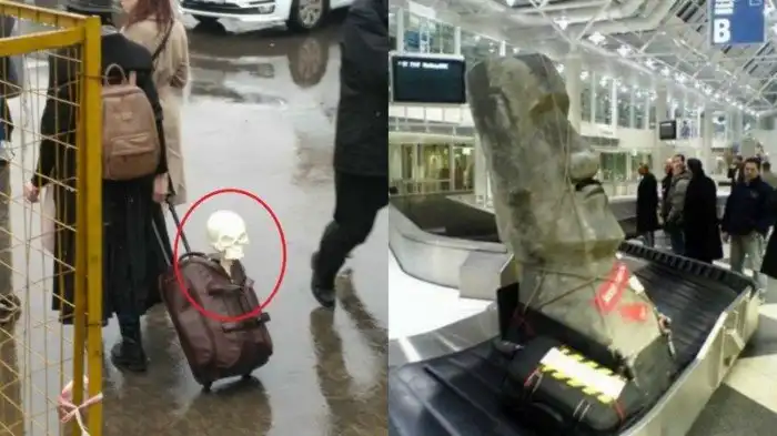 «К поездке готовы!» - фото пассажиров с их удивительным багажом…