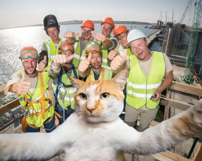 Крымский мост: как продвигается строительство