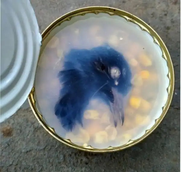 Неожиданная находка в консервированной кукурузе