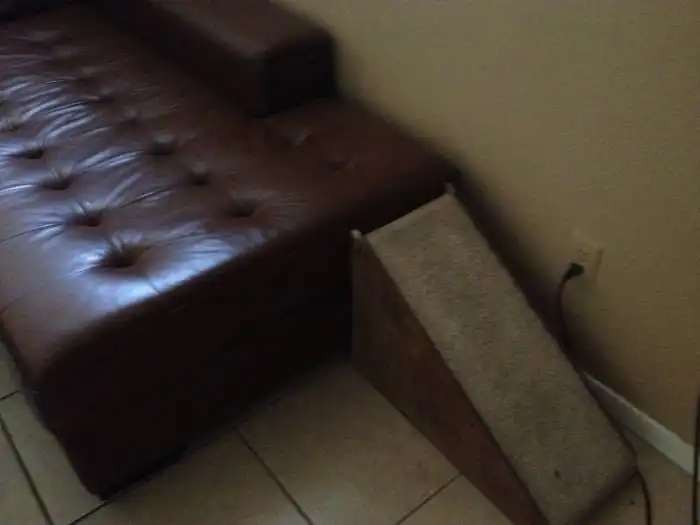 Пандусы для таксы