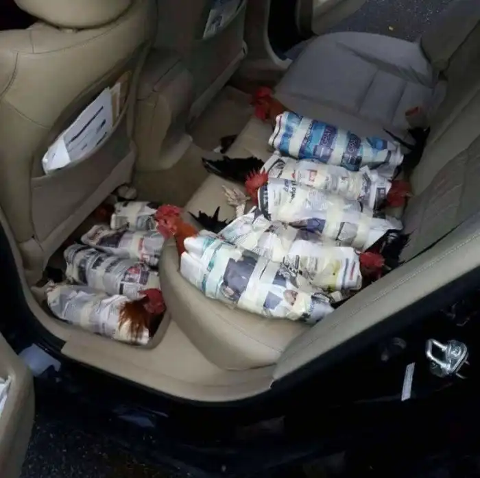 Шокирующие фотосвидетельства разрушительной мощи урагана Ирма