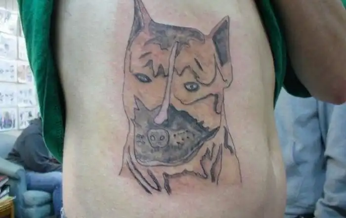25 забавных фотографий, демонстрирующих худшие татуировки с изображением животных