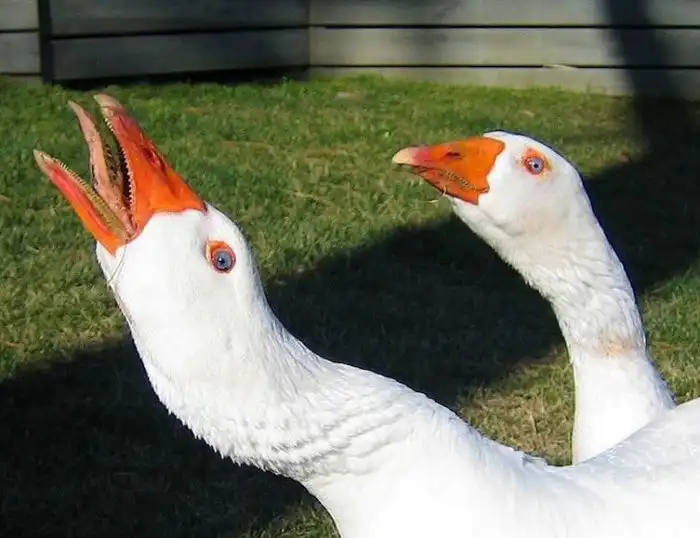 13 быстрых фактов о Китае, которые вас удивят