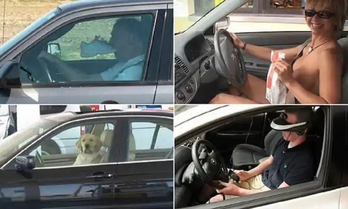 Самые странные вещи, которые можно заметить на шоссе