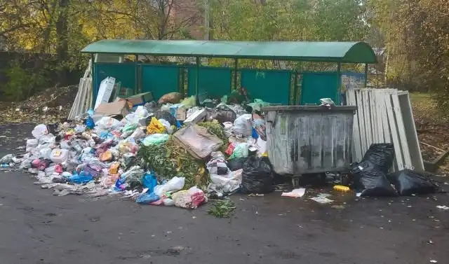 Подмосковное Пушкино утопает в мусоре