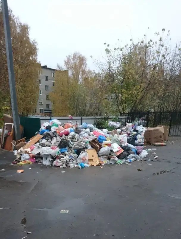 Подмосковное Пушкино утопает в мусоре