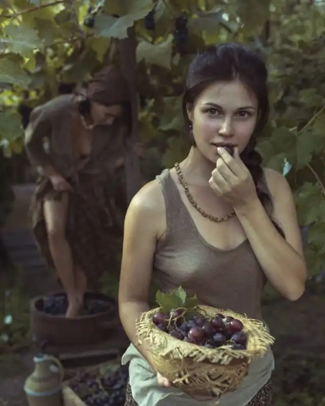 Настала пора собирать урожай