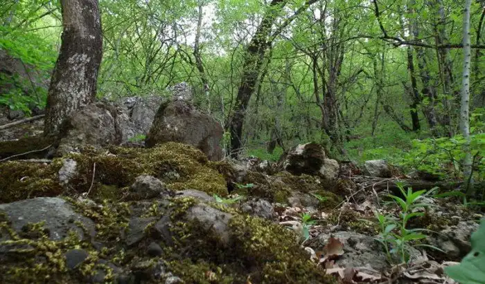 Что случается с телом после смерти