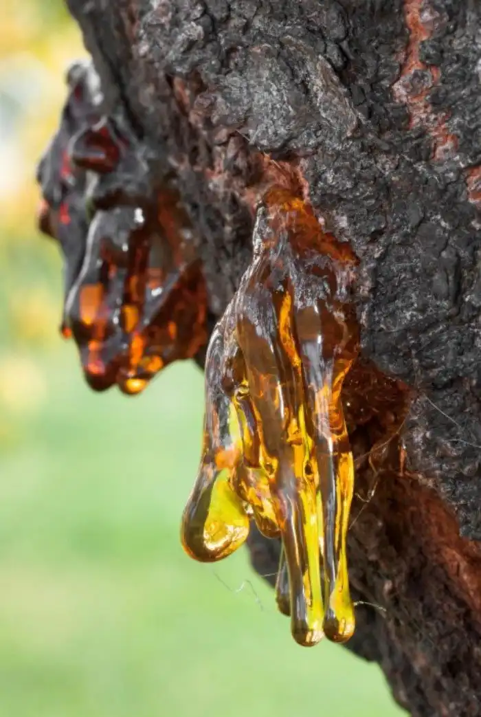 Использование майонеза в быту