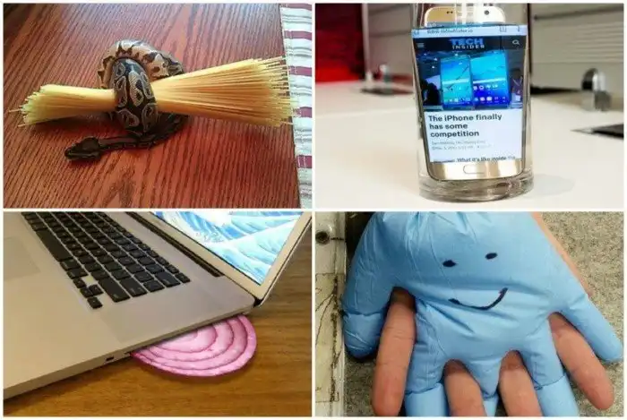 30 самых идиотских, но забавных советов на все случаи жизни