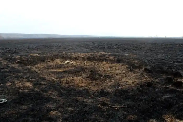 В Приморье из болота подняли части бомбардировщика Пе-2