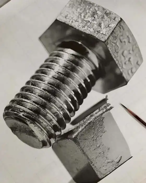 Кохеи Омори - талантливый художник, работающий в жанре гиперреализм