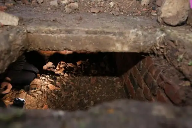 Британка нашла бункер Второй мировой войны на заднем дворе своего дома