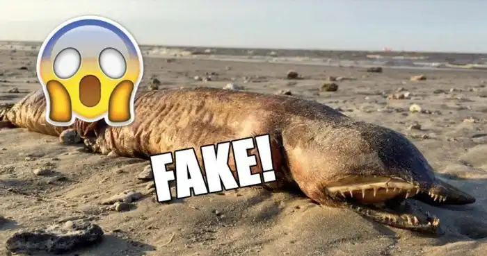 «Фэйк или нет?». Развенчиваем мифы о нескольких странных подводных монстрах, фотографии которых стали в интернете вирусными