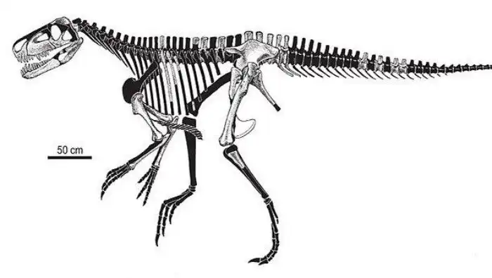 Гиганты древности, которые наводили ужас