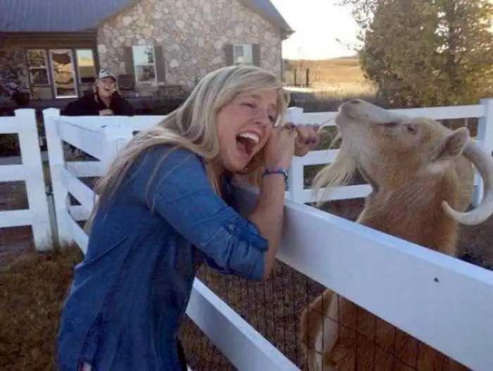 Фейлы из повседневной жизни