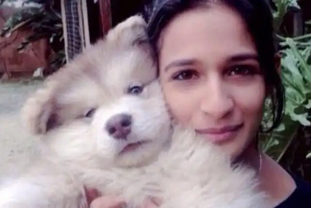 Девушка вырастила милейшего аляскинского маламута