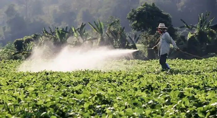 Почему следует срочно отказаться от чайных пакетиков