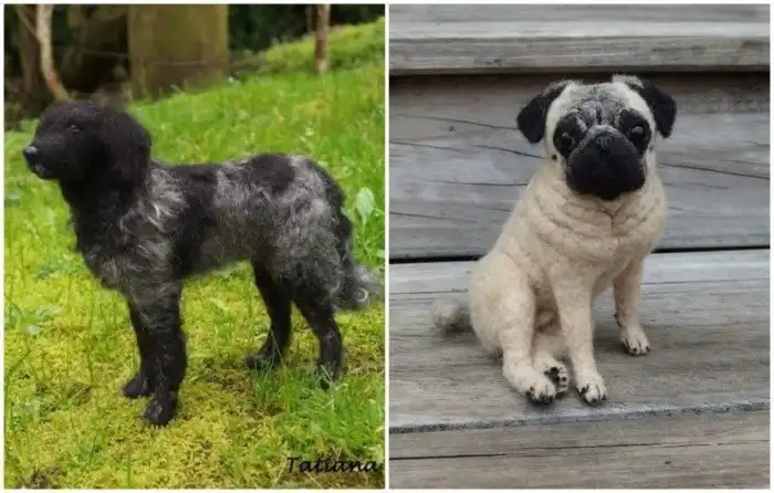 Удивительно реалистичные животные из войлока от Татьяны Кальнинс